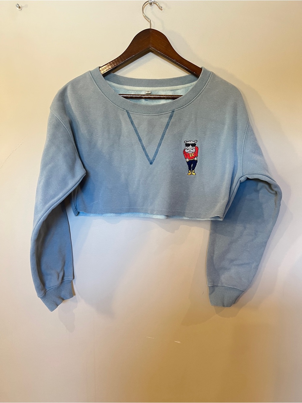 The Fly Hippo Collection Blue Cropped Sweatshirt Size Small - Picture 2 of 9